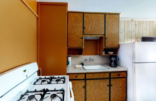 South Fork Cabin | Cozy dog-friendly cabin with grill & free WiFi - 17 miles to skiing
