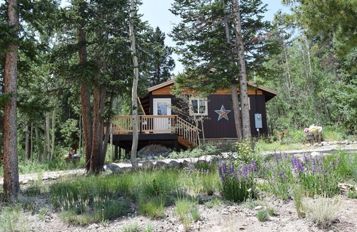 Alma Cabin | Cozy Home Among the Aspens, Pet Friendly w/Outdoor Gas Firepit - Elg Hus