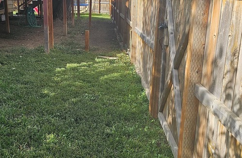 Craig House | Cozy little apartment in a quiet neighborhood in town. Dog friendly.