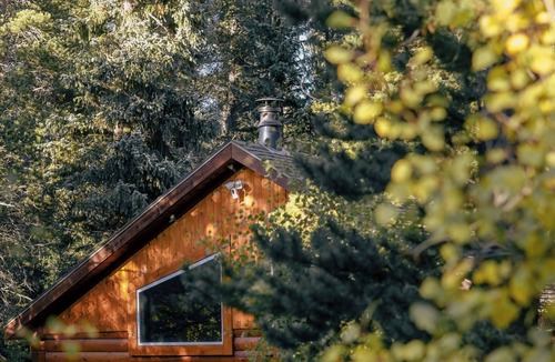 Saint Mary's Cabin | Cozy Log Cabin: hot tub under the stars, private deck, king bed, dog friendly!