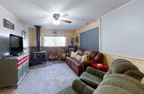 Alpine Village House | Cozy mountain-view cabin with fireplace, washer/dryer, and WiFi - dogs OK
