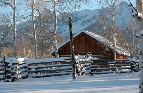 Placerville House | Cozy Ranch House - Elk and Wildlife Preserve Southwest Co