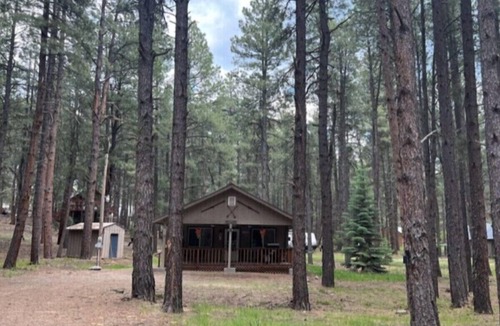 Vallecito House | Cozy retreat in the pine trees seconds to the river & couple of minutes to Vallecito Lake and a beautiful drive to Durango