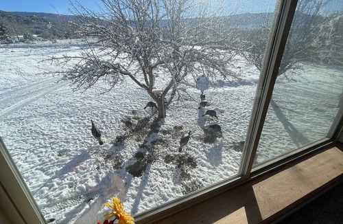 Mesa Other | Creekside 4 bedroom / 3 bath home just minutes from Powderhorn Ski resort