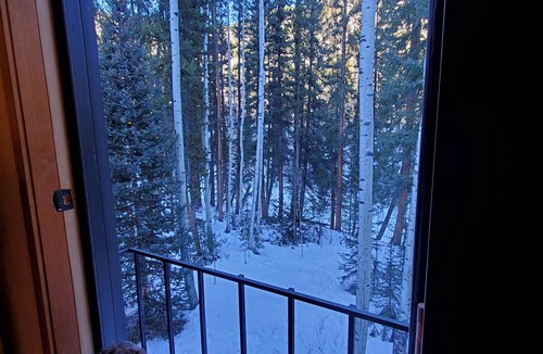Twin Lakes Cabin | Creekside Cabin on Independence Pass between Twin Lakes and Aspen, Cozy + Nature