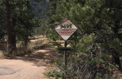 Cascade House | Deer Crossing-Kid Friendly, 7th NIGHT IS FREE! Quiet/secluded. 4 adult maximum.