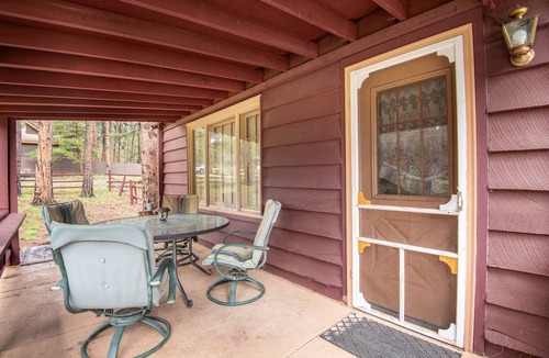 Woodland Park Cabin | Dog-friendly cabin w/full kitchen, free WiFi, great location & updated bathroom