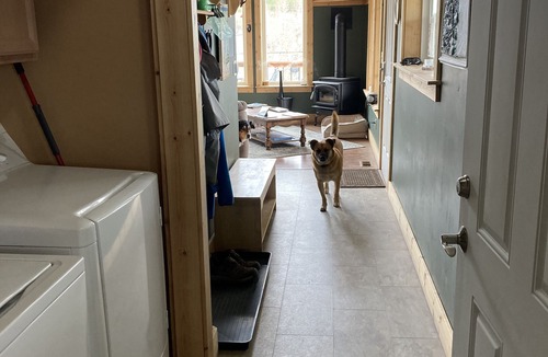 Leadville House | Enjoy Our New House In Historic Leadville, including your pets.