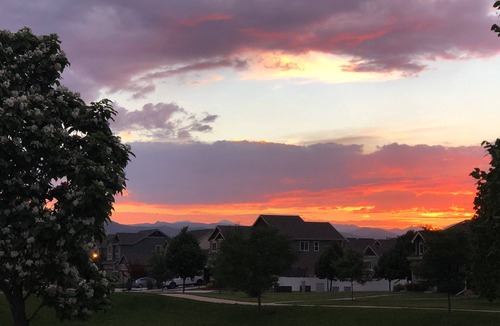 Berthoud House | Entire Ranch Home Pet Friendly and Close to Downtown