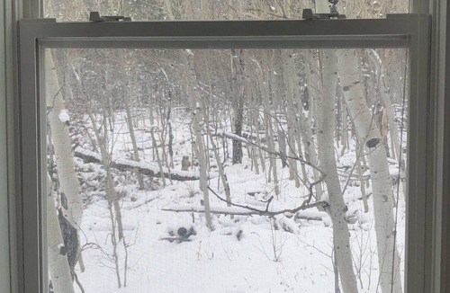 Crystal Lake House | Escape to Black Bear Hollow~Secluded in a Beautiful Aspen Grove & Dog Friendly!