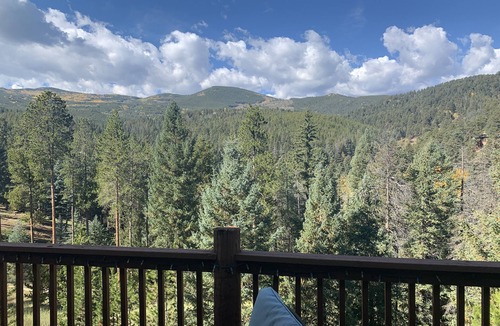 Shadow Mountain Apartment | Evergreen Mountain Escape - Newly remodeled!