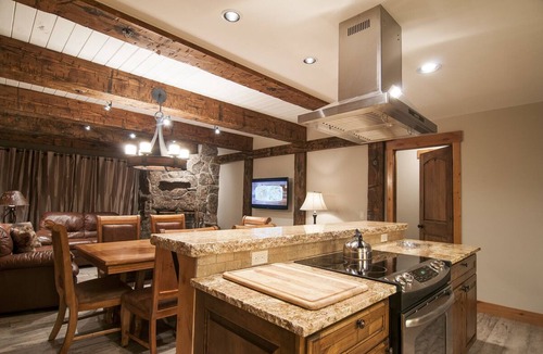 Crested Butte Condo | Extensively Remodeled Ski-In/Out Condo w/Views, Fireplace, Balcony