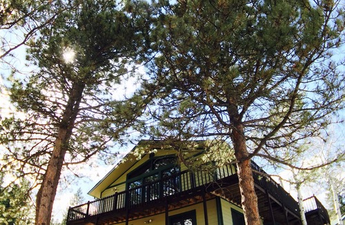 Woodland Park House | Fabulous Mountain Cabin Wooded Property - Entertaining Living Room