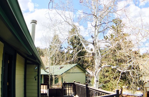 Woodland Park House | Fabulous Mountain Cabin Wooded Property - Entertaining Living Room