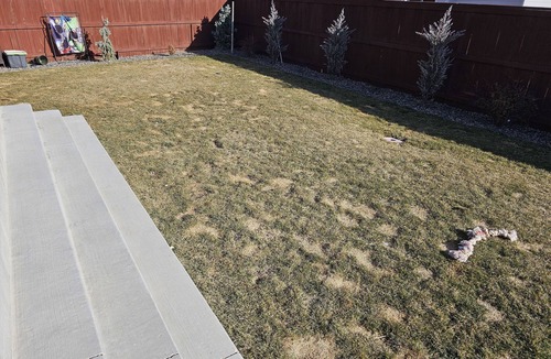 Windsor House | Family friendly home in wonderful neighborhood