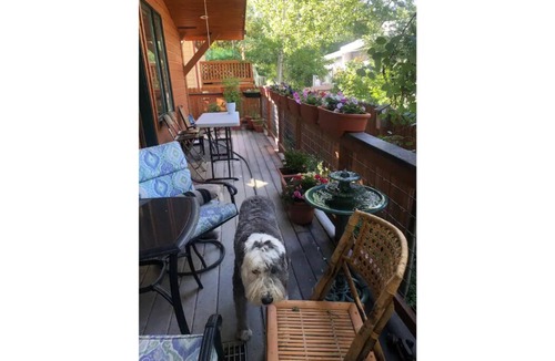 Aspen House | Feel like a Local in Aspen