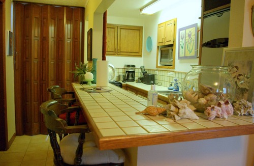 Evergreen House | FERN GULCH GETAWAY!.