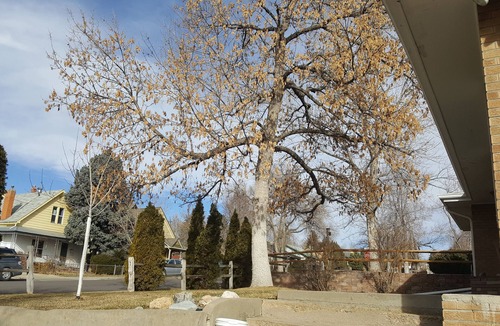 Edgewater Apartment | Front Range Paradise