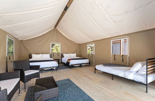 Poudre Park House | Glamp 16- Purple Coneflower