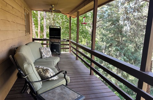 Ridgway House | Gorgeous Ouray Cabin - Sleeps 10, Mountain View, Secluded, Convenient to town