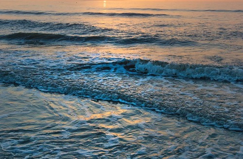 St. Augustine Beach Hotel | Guy Harvey Resort on St Augustine Beach