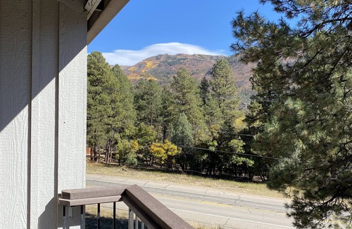 Durango - Purgatory Condo | Half way there,15 minutes to skiing at Purgatory or dining & shopping in Durango
