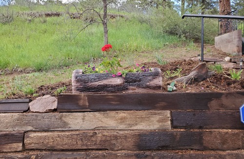 Woodland Park Cabin | Historic Crystola cabin