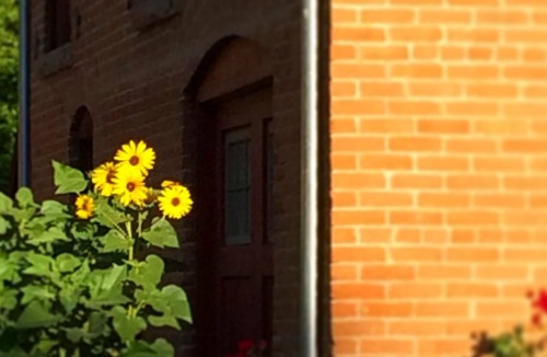 Old Town House | Historic Old Town Carriage House Rental