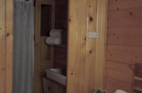 Lake City Cabin | Iris Cabin with Mountain Views