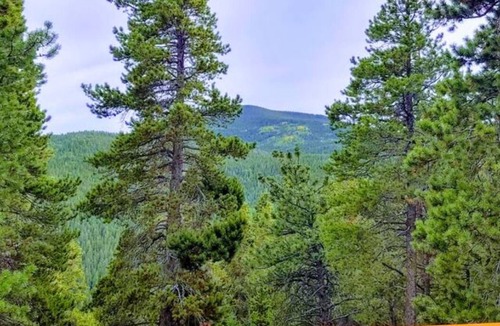Coal Creek Cabin | Jetted Tub, Huge Deck, Fish tank and Romantic space for 2