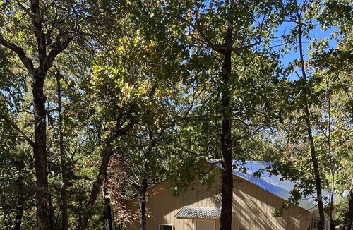 Jasper Cabin | krissy cabins