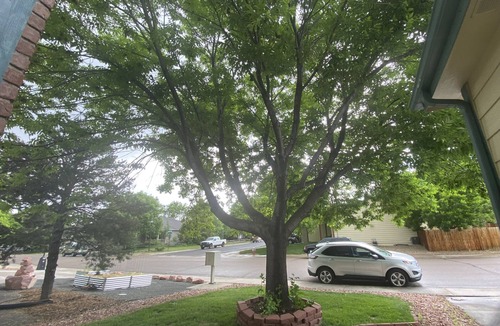 Longmont Apartment | Large basement apartment 1500sq ft, private living room, bathroom & kitchenette