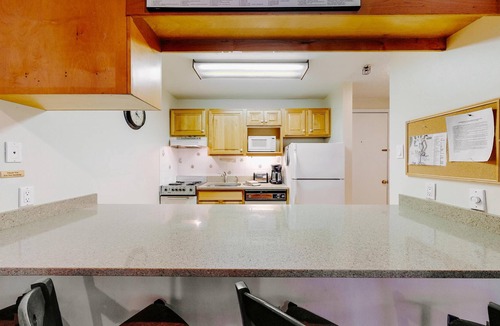 Snowmass Village Condo | Lichenhearth Condominiums | EL08