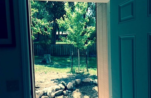 Crestone Cabin | Lodge ∙ 1 bedroom ∙ 2 guests
