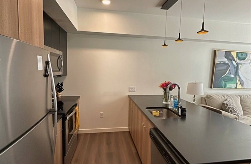LoDo Apartment | LODO 1-bedroom Designer Apartment Meets Mile High Charm