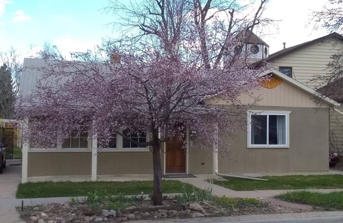 Lafayette House | Lovely Arts and Crafts Style 3BR 2BA Home in Historic Old Town Lafayette