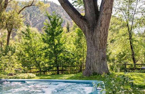 Glenwood Springs House | Million Dollar Creekside Treehouse Hottub Rafting Hiking Fishing and Mins to Glenwood and Hotsprings