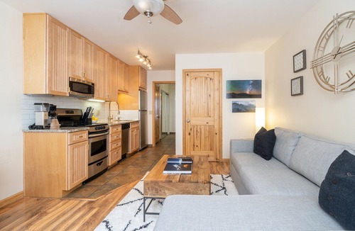 Telluride Condo | Modern Comfort with Hillside Views from Bay Window, River Trail Steps Away