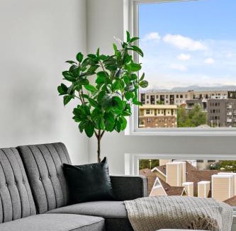 Highland House | Modern Eclectic Penthouse Loft - Zuni Lofts