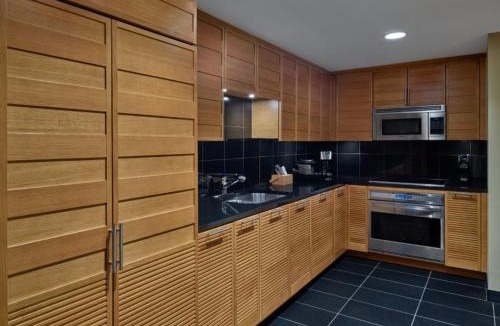 Snowmass Village Apartment | Modern, Luxury Ski-In, Ski-Out Snowmass Village 2 Bedroom Residence