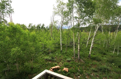 Crested Butte South Cabin | Modern Mountain Lookout