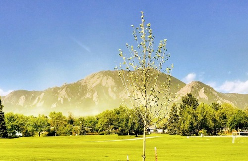 Martin Acres Condo | Mountain Access and close to CU Campus