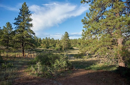 Lewis Cabin | MOUNTAIN BIKE, SIDE BY SIDE OR BRING YOUR HORSE RIDE RIGHT ON TO NATIONAL FOREST