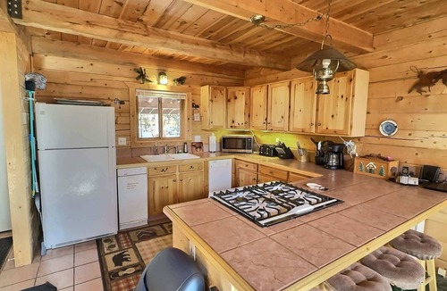 Leadville North Cabin | Mountain Log Home-Among Lodgepole Pines