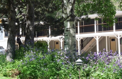 Redstone Condo | Mountain Retreat on the Crystal River