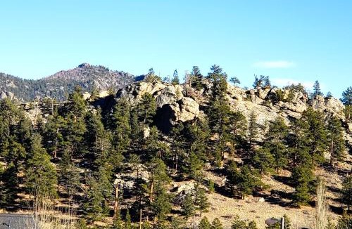 Estes Park Apartment | Nakai Peak 41B Condo