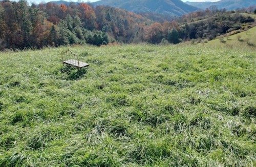 Marshall Cabin | Natural Spring Fed "Cedar Hot Tub" - 120 Private Acres, water fall & trails