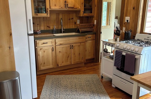 Conifer Cabin | New! Aspen turning! 1 hr from DIA! Gas firepit & Wifi