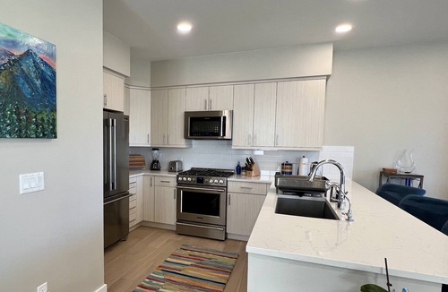 Carbondale House | New Luxury 3BR Townhome -Mt. Sopris View & Hot Tub
