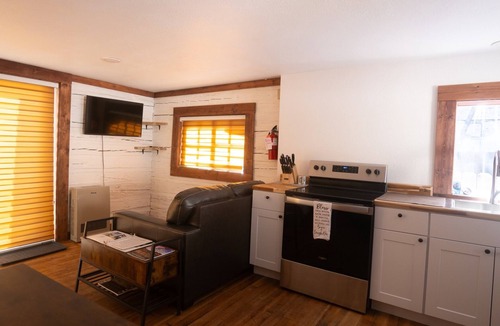 Lake City Cabin | Newly renovated cabin, located downtown with WiFi in picturesque Lake City